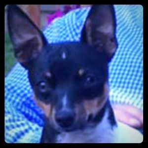 She’s not for sale would cost you way too much!!